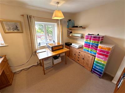 Picture 16